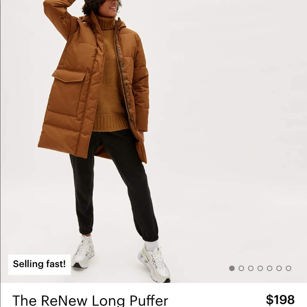 Everlane ReNew Long Puffer (L)